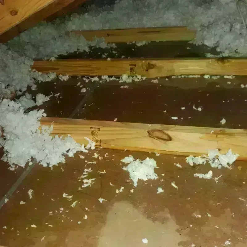 Attic Water Damage in Menomonee Falls, WI