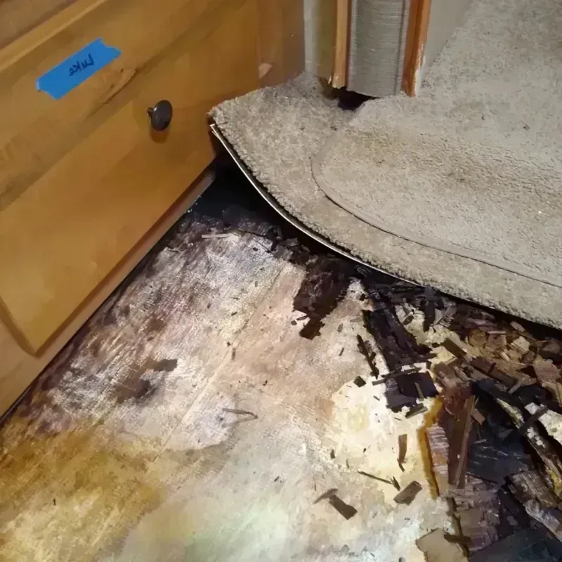 Wood Floor Water Damage in Menomonee Falls, WI